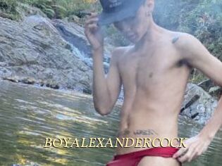 BOYALEXANDERCOCK