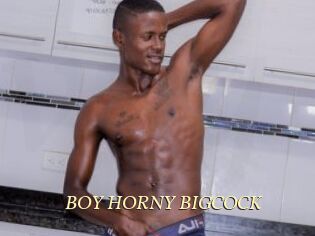 BOY_HORNY_BIGCOCK