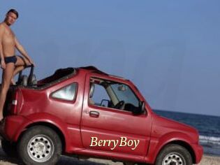 BerryBoy