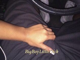 BigBoyLittleDick