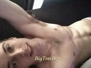 BigTreeBoy