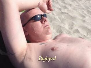 Bigbyrd
