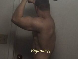 Bigdude55
