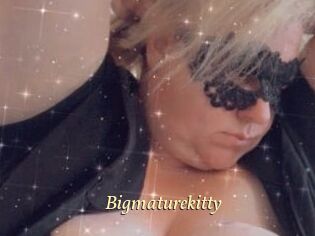 Bigmaturekitty