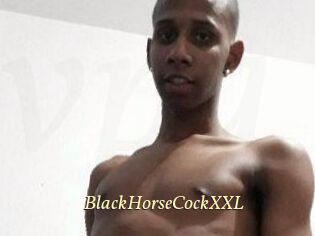 BlackHorseCockXXL