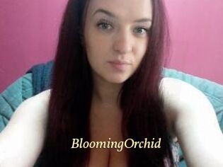BloomingOrchid