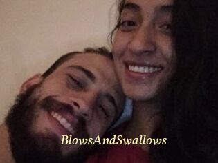 BlowsAndSwallows