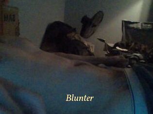 Blunter