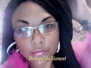 BougieStallionest