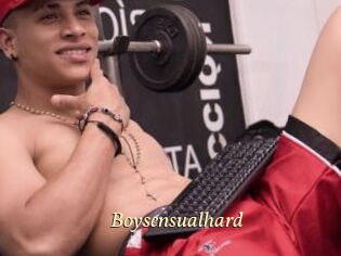 Boysensualhard