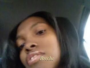 Breche