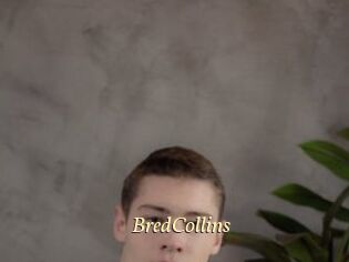 BredCollins