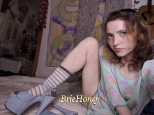 BrieHoney