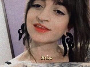 Briza