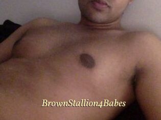 BrownStallion4Babes