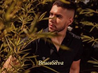 BruceSilva