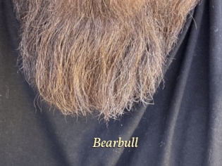 bearbull Vidéo porno gratuite