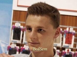 BedSem