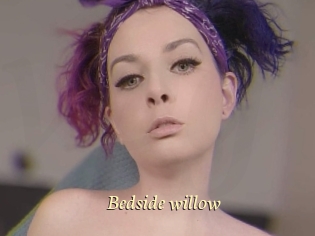 Bedside_willow