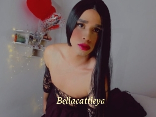 Bellacattleya
