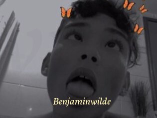 Benjaminwilde