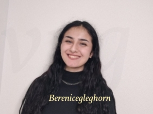 Berenicegleghorn