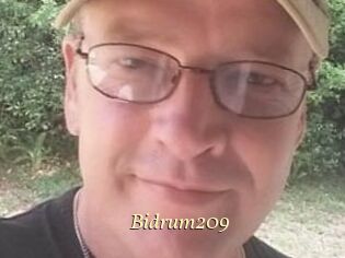 Bidrum209