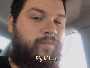 Big_bi_bear
