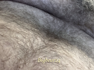 Bigbear24