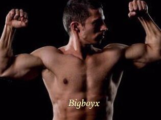 Bigboyx