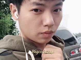 Bigcock214
