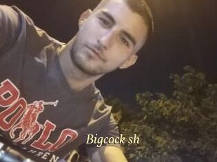 Bigcock_sh