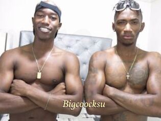 Bigcoocksu
