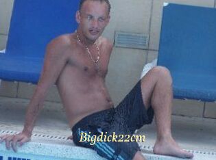 Bigdick22cm