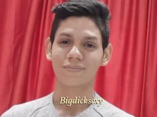 Bigdicksexy