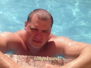 Bigedvard