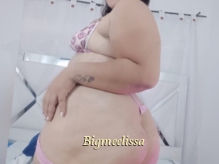 Bigmeelissa