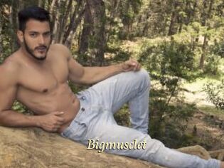 Bigmusclet