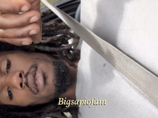 Bigsapiofam