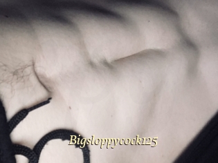 Bigsloppycock125