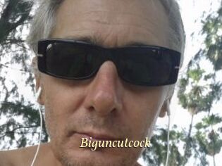 Biguncutcock