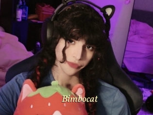 Bimbocat
