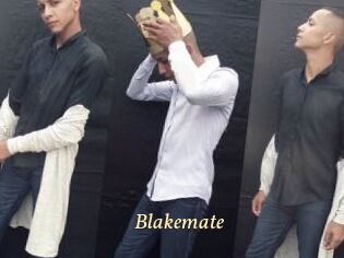 Blakemate