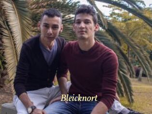 Bleicknort