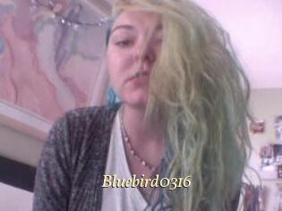 Bluebird0316