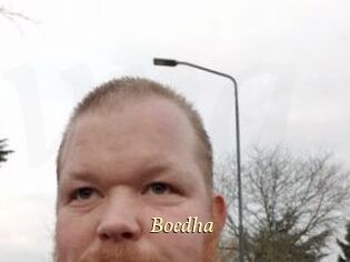 Boedha