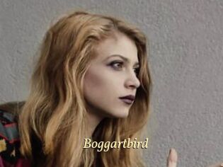 Boggartbird