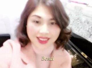 Bosai