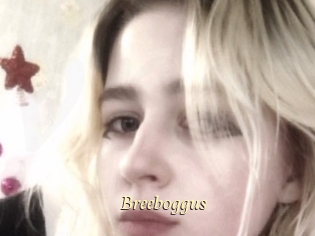 Breeboggus