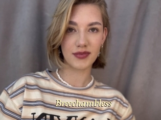 Breechambless